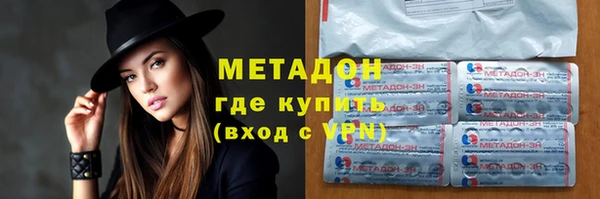 индика Вяземский
