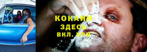 шишки Володарск