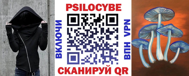 Псилоцибиновые грибы GOLDEN TEACHER Каргат